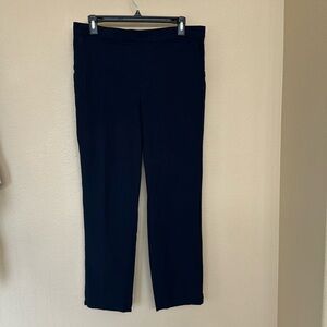 Banana Republic Navy Pants